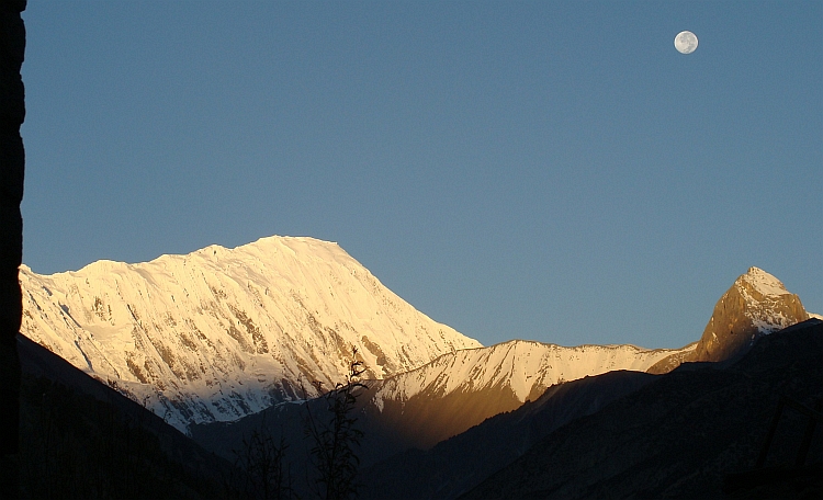 Tilicho Peak