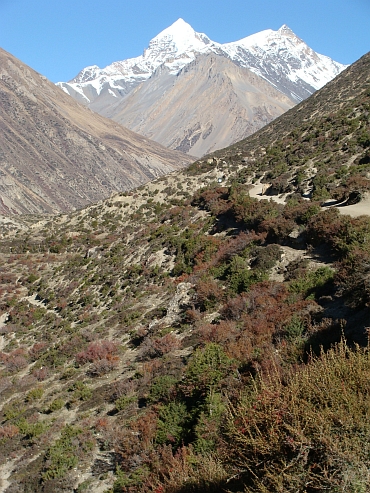 Landscape on the way to Yak Kharka