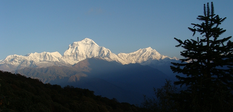 Dhaulagiri (8.167 m) vanaf Poon Hill
