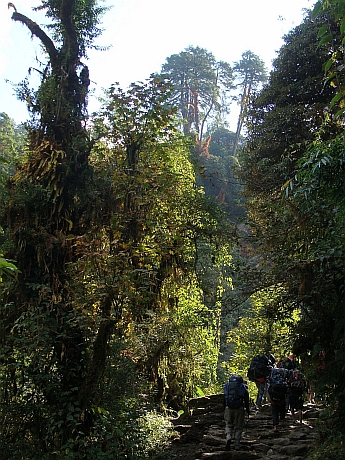 Afdaling door het regenwoud naar de 'moderne' wereld