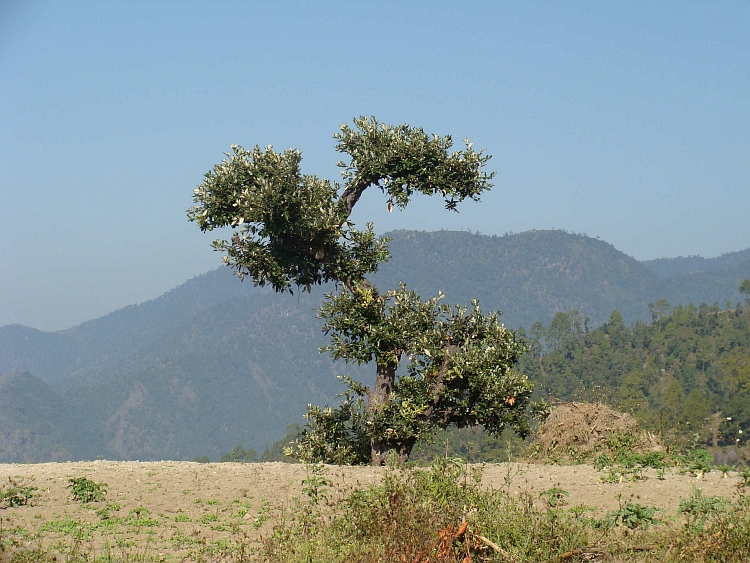 Landschap op de afdaling naar Hetauda