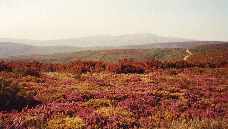 The Montes de León