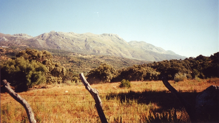 Landschap bij Cortes de la Frontera
