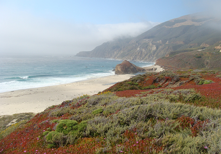 Landschap in Big Sur
