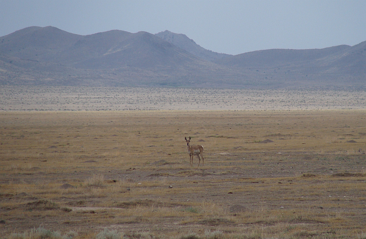 Landschap tussen Garrison en Cedar City