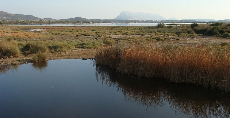 Sardijnse kust tussen San Teodoro en Olbia