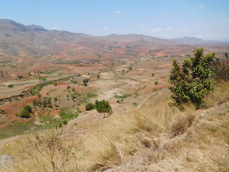 Tussen Fianarantsoa en Ambalavao